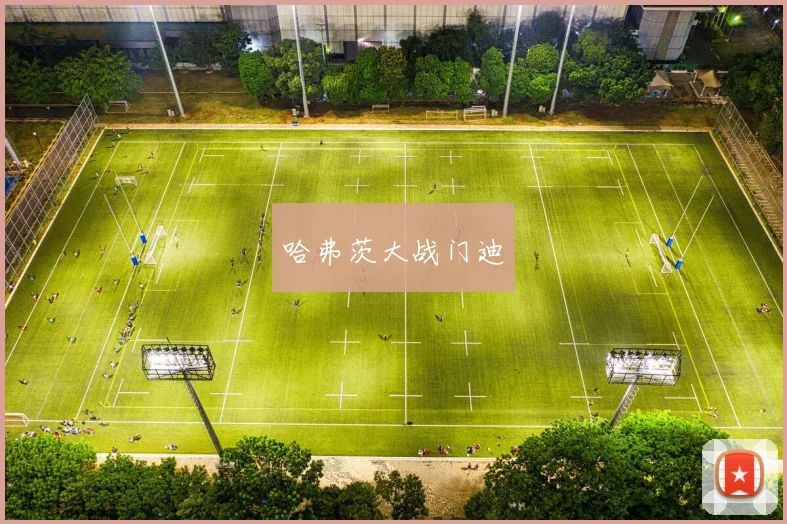 哈弗茨大战门迪