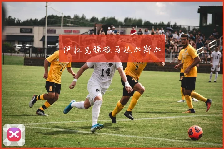 伊拉克强碰马达加斯加