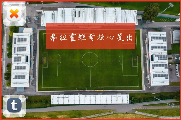 弗拉霍维奇核心复出
