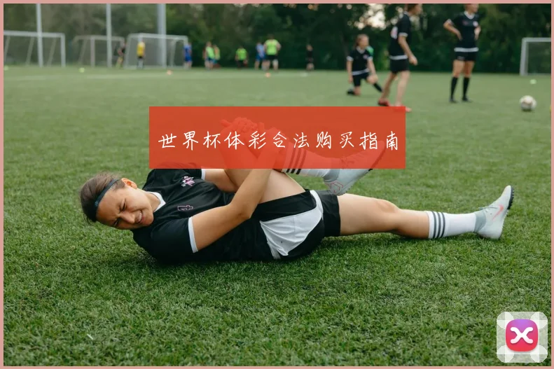 世界杯体彩合法购买指南