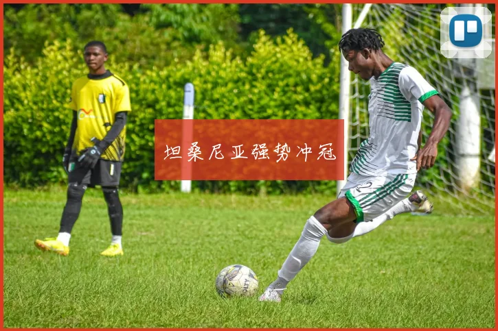 坦桑尼亚强势冲冠