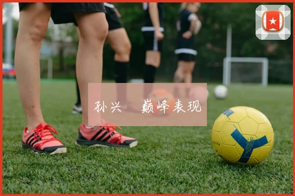 孙兴慜巅峰表现