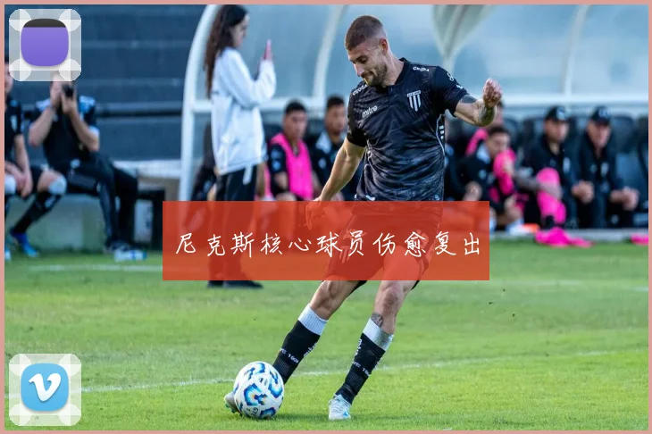 尼克斯核心球员伤愈复出